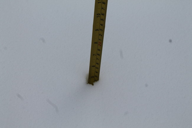 snow our deck 021715
