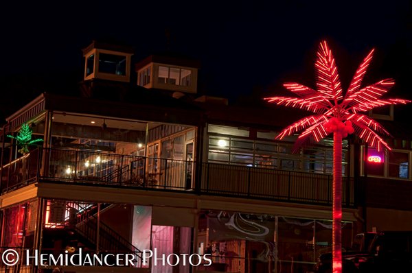 020212 Electric palm