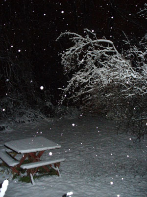 [Photo: Susan Billings / Dumfries, Va.]