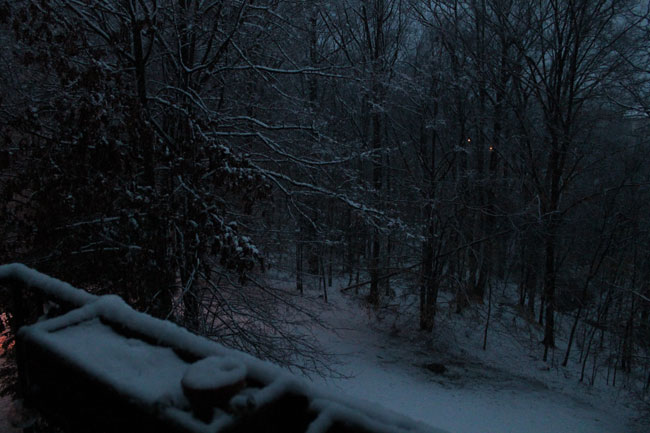 [Photo from Lake Ridge, Va. -- March 6, 2013]