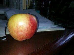 This shiny apple is my afternoon snack for today! 