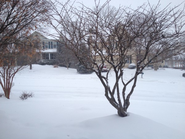 There's a full cover in residential Manassas areas. This shot was taken by our reporter Stephanie Tipple.