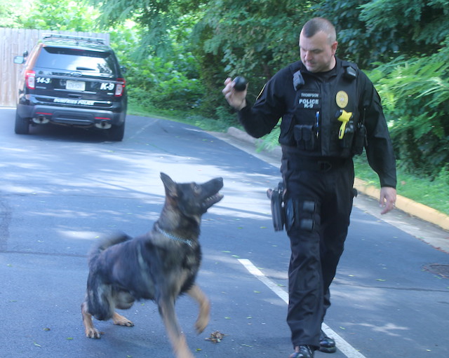 Dumfries’ only 4-legged cop is about to get some much-needed protection