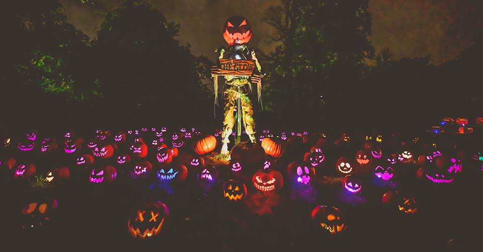 Jack’s Pumpkin Glow brings “pumpkinized” art to life