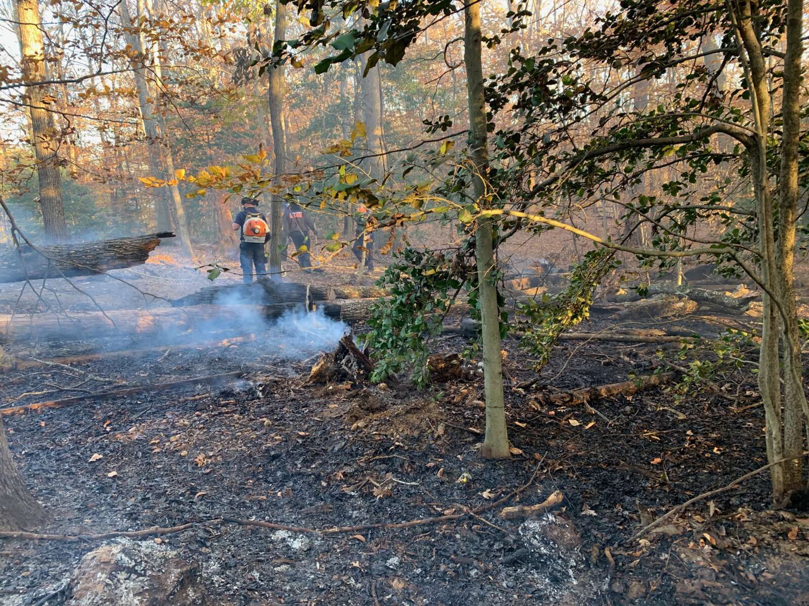 Brush, house fires keep Stafford fire crews busy