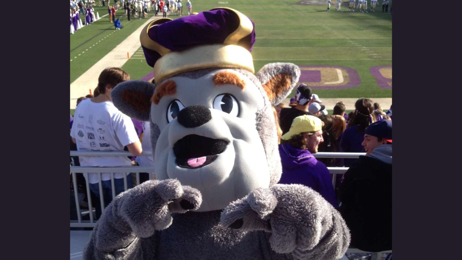 The JMU mascot, the “Duke Dog,” excited everyone this year. [Photo by Heather Johnson]